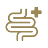 Gut Health