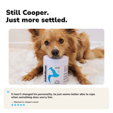 CALM+CHILL Super Blend