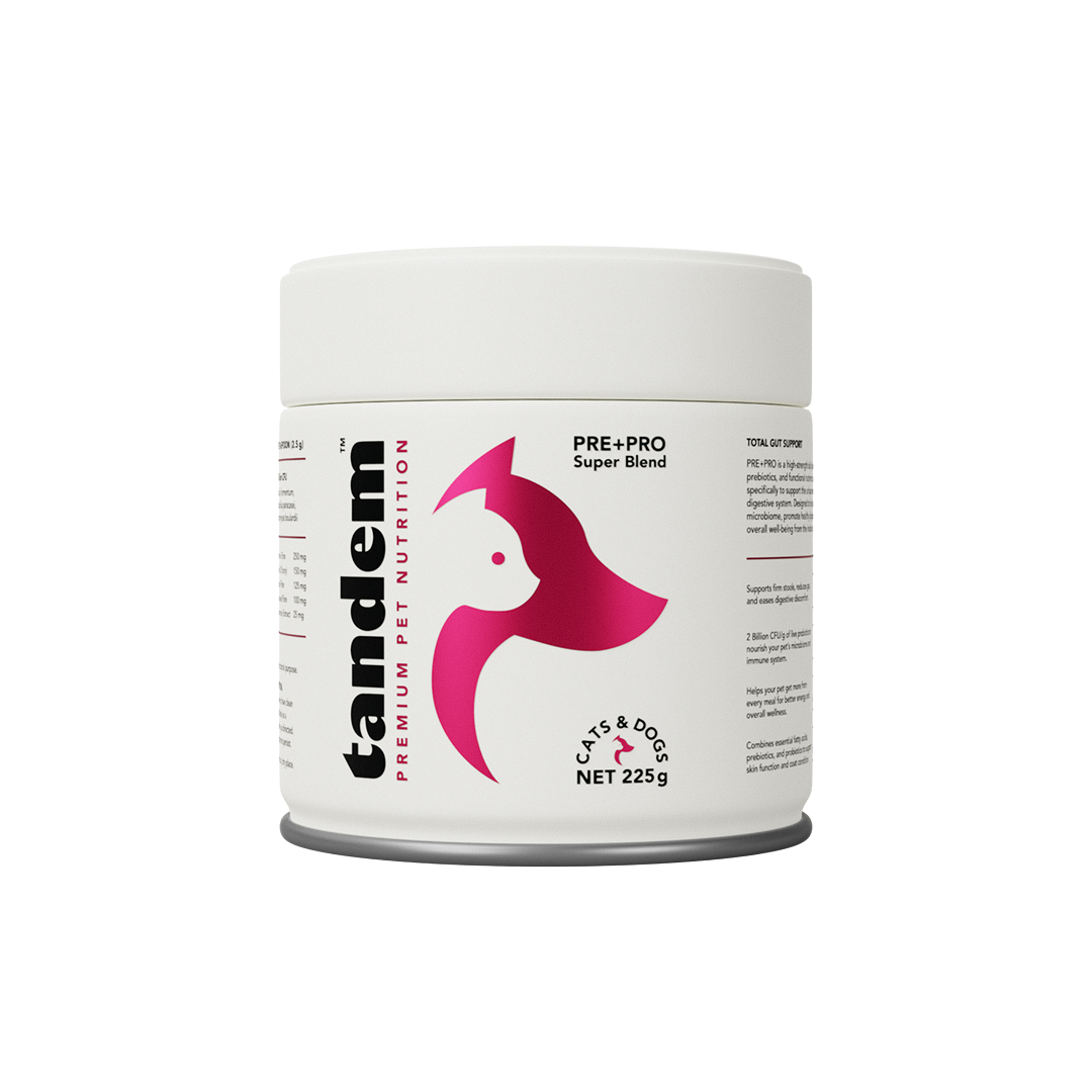 Pre Pro Powder PRE+PRO Super Blend for Cats & Dogs – Tandem