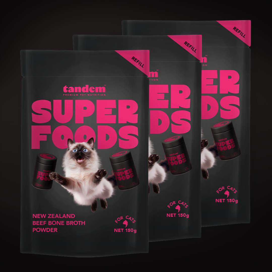 New Zealand Beef Bone Broth Powder (for Cats) Refill Multi-Pack