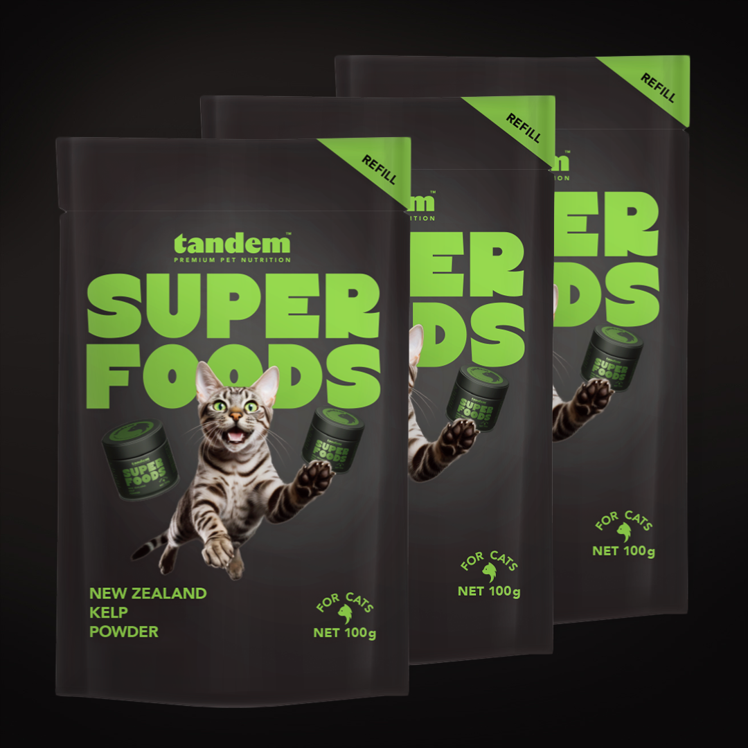 New Zealand Kelp Powder (for Cats) Refill Multi-Pack