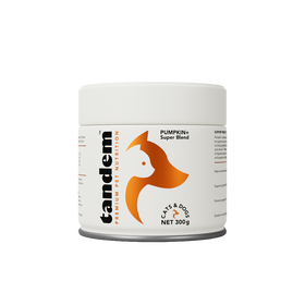 PUMPKIN+ Super Blend
