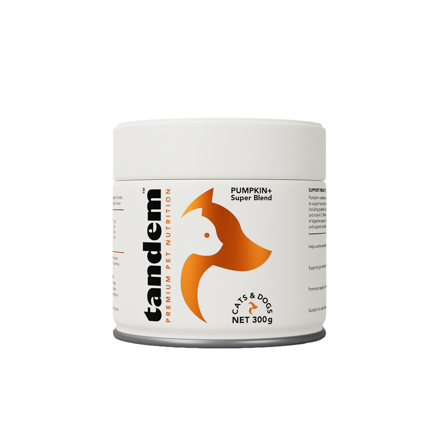 PUMPKIN+ Super Blend