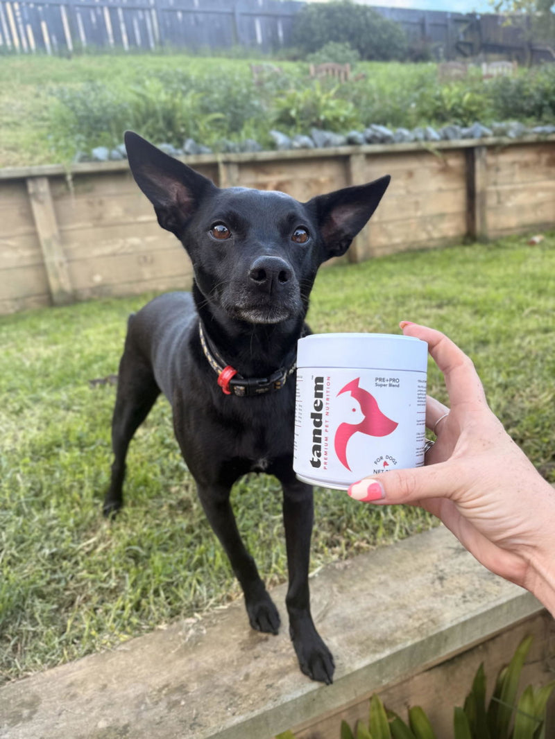 Photo from Shyanne's review of PRE+PRO Super Blend