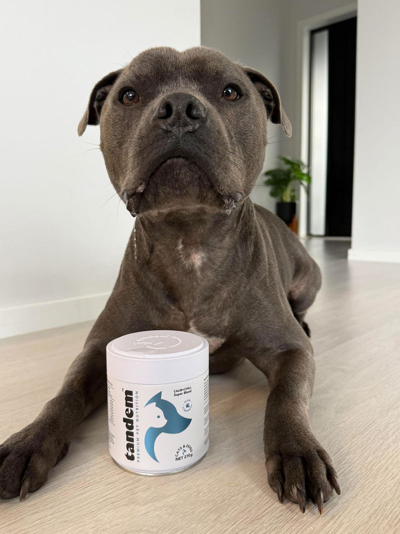 Photo from Sarah F.'s review of CALM+CHILL Super Blend
