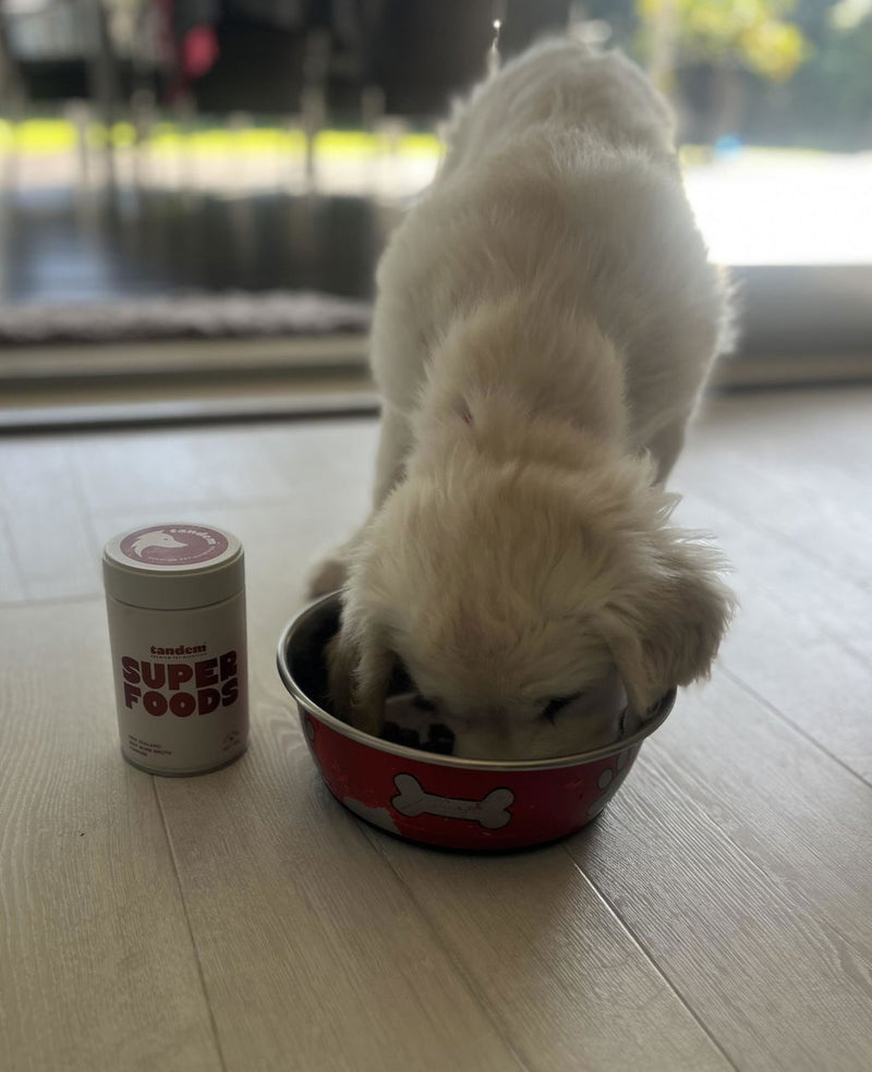 Photo from Kelly L.'s review of New Zealand Beef Bone Broth Powder