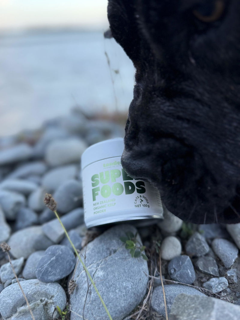 Photo from Tia M.'s review of New Zealand Organic Kelp Powder