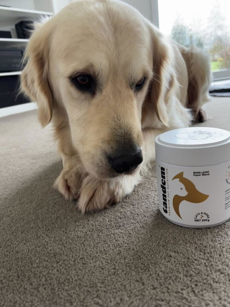 Photo from Rachel S.'s review of BONE+JOINT Super Blend