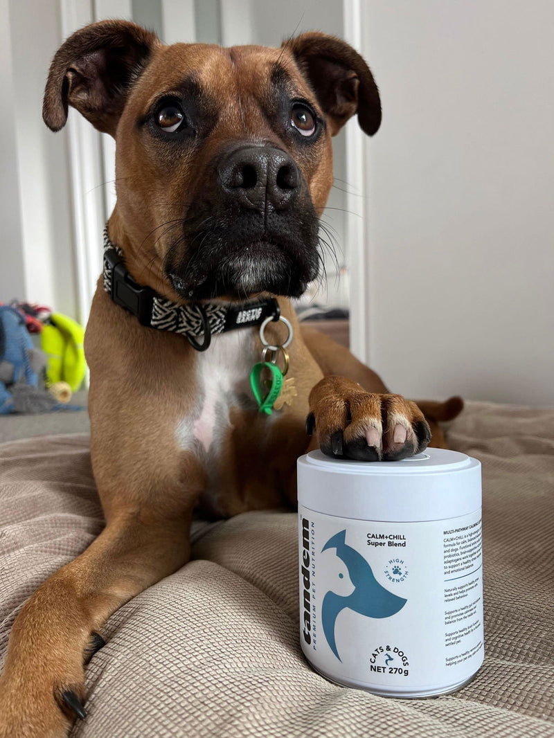 Photo from Hayley S.'s review of CALM+CHILL Super Blend