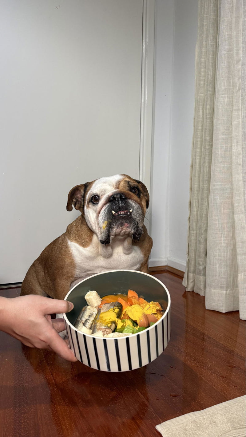 Photo from Yossico S.'s review of New Zealand Pumpkin Powder