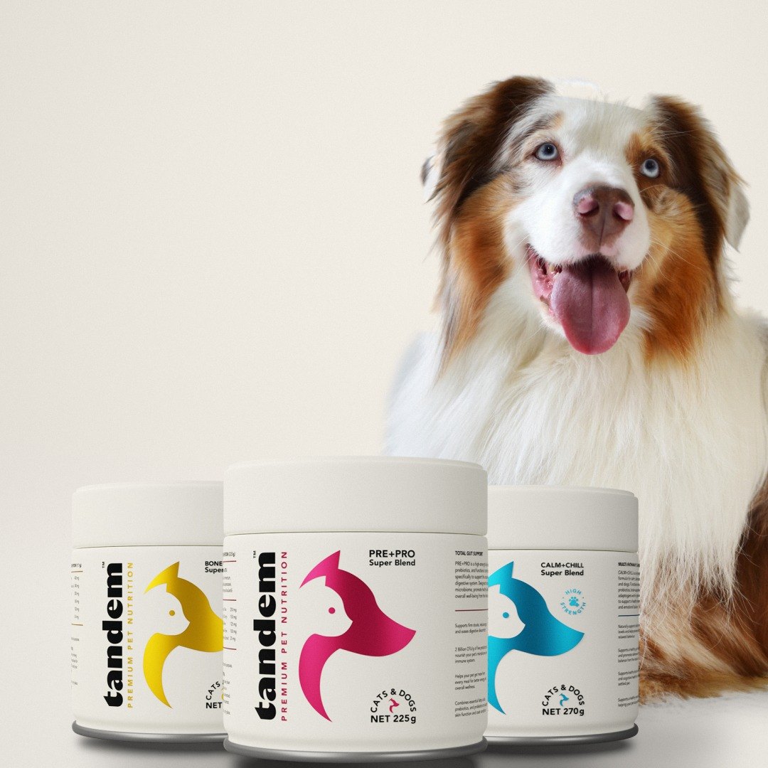 Healthier guts. Easier joints. Calmer dogs.